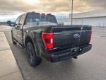 2021 F-150 Thumbnail 7