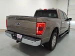 2021 F-150 Thumbnail 3