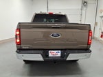 2021 F-150 Thumbnail 4
