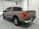 2021 F-150 Thumbnail 5