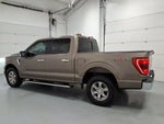 2021 F-150 Thumbnail 6