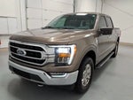 2021 F-150 Thumbnail 7