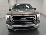 2021 F-150 Thumbnail 8