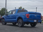 2021 F-150 Thumbnail 14
