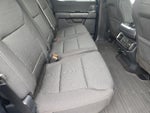 2021 F-150 Thumbnail 19
