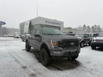 2021 F-150 Thumbnail 1