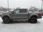 2021 F-150 Thumbnail 4