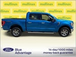 2021 F-150 Thumbnail 9
