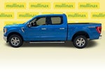 2021 F-150 Thumbnail 14