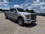 2021 F-150 Thumbnail 2
