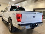 2021 F-150 Thumbnail 8