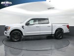 2021 F-150 Thumbnail 4
