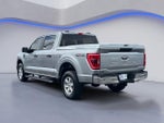 2021 F-150 Thumbnail 6