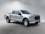 2021 F-150 Thumbnail 2