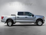 2021 F-150 Thumbnail 10