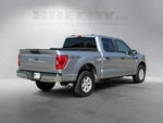 2021 F-150 Thumbnail 15