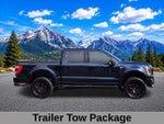 2022 F-150 Thumbnail 3