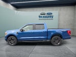 2022 F-150 Thumbnail 4