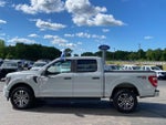 2023 F-150 Thumbnail 4