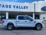 2023 F-150 Thumbnail 8