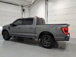 2023 F-150 Thumbnail 6