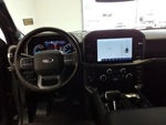 2023 F-150 Thumbnail 14