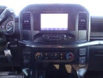 2023 F-150 Thumbnail 11