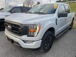 2023 F-150 Thumbnail 3