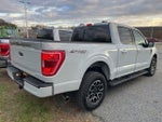 2023 F-150 Thumbnail 10