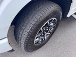 2023 F-150 Thumbnail 15