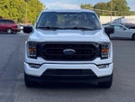 2023 F-150 Thumbnail 18