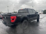 2023 F-150 Thumbnail 4