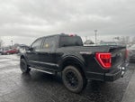 2023 F-150 Thumbnail 5