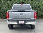 2023 F-150 Thumbnail 6