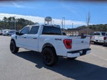 2023 F-150 Thumbnail 10