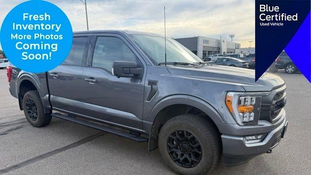 Preowned 2023 Ford F-150 King Ranch for Sale