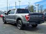 2023 F-150 Thumbnail 5