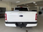 2023 F-150 Thumbnail 7