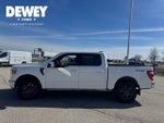 2023 F-150 Thumbnail 4