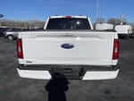 2023 F-150 Thumbnail 4