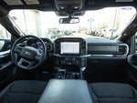 2023 F-150 Thumbnail 12