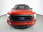 2023 F-150 Thumbnail 6