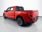 2023 F-150 Thumbnail 9