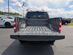 2023 F-150 Thumbnail 13