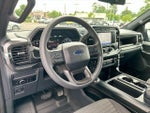 2023 F-150 Thumbnail 10
