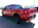 2023 F-150 Thumbnail 8