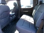 2023 F-150 Thumbnail 9
