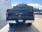 2023 F-150 Thumbnail 5