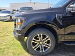 2023 F-150 Thumbnail 8