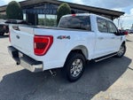 2023 F-150 Thumbnail 4